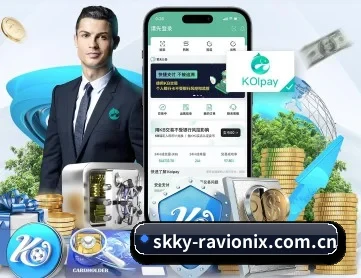 辉达娱乐 APP 深度功能